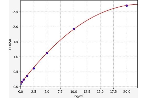 PDK1 ELISA Kit