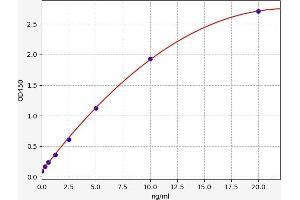 Typical standard curve (PDK1 ELISA Kit)