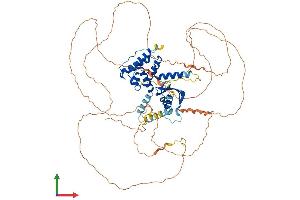 AlphaFold protein structure predicition of Human Recombinant GAS2L3 Protein, UniprotID Q86XJ1 (GAS2L3 Protein (AA 1-694) (His tag))