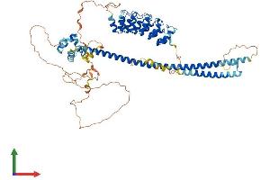AlphaFold protein structure predicition of Mouse Recombinant Anks3 Protein, UniprotID Q9CZK6 (ANKS3 Protein (AA 1-655) (His tag))