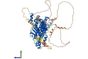 AlphaFold protein structure predicition of Mouse Recombinant Fbxl5 Protein, UniprotID Q8C2S5 (FBXL5 Protein (AA 1-690) (His tag))