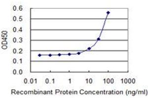 Detection limit for recombinant GST tagged SEPT2 is 3 ng/ml as a capture antibody. (Septin 2 antibody  (AA 1-371))