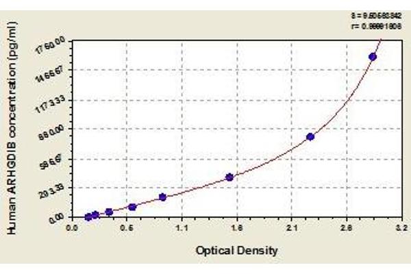 ARHGDIB ELISA Kit