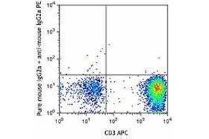 Flow Cytometry (FACS) image for anti-Chemokine (C-C Motif) Receptor 8 (CCR8) antibody (ABIN2664101) (CCR8 antibody)