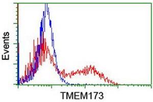 Image no. 2 for anti-Transmembrane Protein 173 (TMEM173) antibody (ABIN1501423) (STING/TMEM173 antibody)
