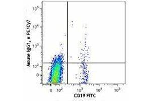 Flow Cytometry (FACS) image for anti-Chemokine (C-X-C Motif) Receptor 5 (CXCR5) antibody (PE-Cy7) (ABIN2659138) (CXCR5 antibody  (PE-Cy7))