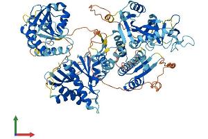 AlphaFold protein structure predicition of Mouse Recombinant Parp9 Protein, UniprotID Q8CAS9