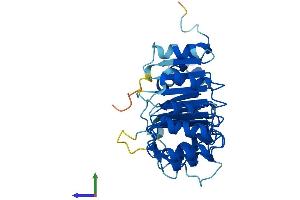 AlphaFold protein structure predicition of Human Recombinant FBXL12 Protein, UniprotID Q9NXK8 (FBXL12 Protein (AA 1-326) (His tag))