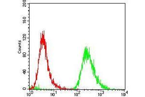 Flow cytometric analysis of A431 cells using EPN1 mouse mAb (green) and negative control (red). (Epsin 1 antibody  (AA 106-254))