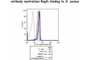 Flow Cytometry (FACS) image for anti-Regenerating Islet Derived Protein 3 gamma (REG3g) antibody (ABIN3002391) (REG3g antibody)