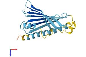 Slowmo Homolog 1 (SLMO1) (AA 1-172) protein (His tag)