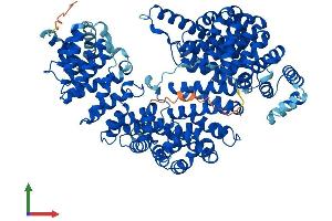 Protein Structure (PS) image for Transportin 1 (TNPO1) (AA 1-898) protein (His tag) (ABIN7555813)
