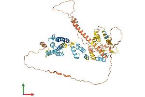 Protein Structure (PS) image for Intestinal Alkaline Phosphatase (ALPI) (AA 1-557) protein (His tag) (ABIN7562740)