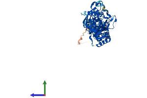 Protein Structure (PS) image for Pseudouridylate Synthase 10 (PUS10) (AA 1-527) protein (His tag) (ABIN7560959)