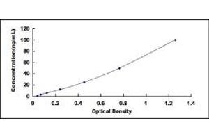 Typical standard curve (Claudin 16 ELISA Kit)