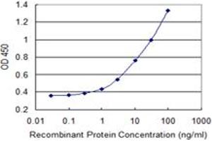 Detection limit for recombinant GST tagged PFKM is 0. (PFKM antibody  (AA 681-780))