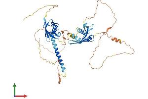 AlphaFold protein structure predicition of Human Recombinant MIDN Protein, UniprotID Q504T8 (MIDN Protein (AA 1-468) (His tag))