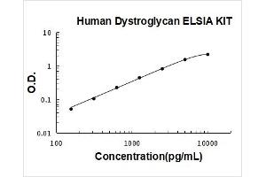 Dystroglycan 1 (DAG1) ELISA Kit