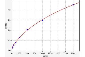 CDX2 ELISA Kit