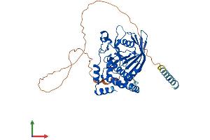 Protein Structure (PS) image for Protein tyrosine Phosphatase, Non-Receptor Type 1 (PTPN1) (AA 1-432) protein (His tag) (ABIN7563190)