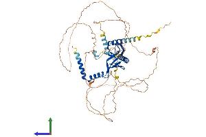 AlphaFold protein structure predicition of Mouse Recombinant Dcp1a Protein, UniprotID Q91YD3 (DCP1A Protein (AA 1-602) (His tag))