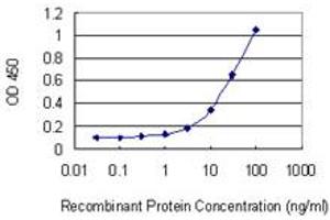 Detection limit for recombinant GST tagged TRPC5 is 1 ng/ml as a capture antibody. (TRPC5 antibody  (AA 534-603))