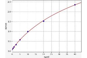 Typical standard curve (SDC3 ELISA Kit)