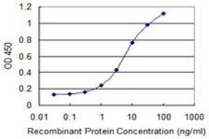 Detection limit for recombinant GST tagged DAP is 0. (DAP antibody  (AA 1-102))