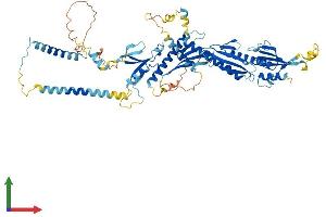 AlphaFold protein structure predicition of Mouse Recombinant Med17 Protein, UniprotID Q8VCD5 (MED17 Protein (AA 1-649) (His tag))