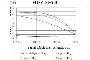 Black line: Control Antigen (100 ng), Purple line: Antigen(10 ng), Blue line: Antigen (50 ng), Red line: Antigen (100 ng), (MMP2 antibody  (AA 242-396))