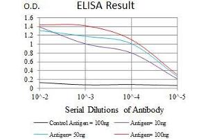 Black line: Control Antigen (100 ng), Purple line: Antigen(10 ng), Blue line: Antigen (50 ng), Red line: Antigen (100 ng), (Paired Box 3 antibody  (AA 142-203))