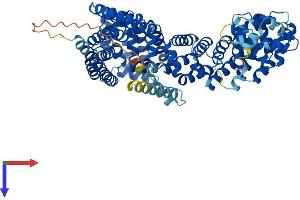 Protein Structure (PS) image for Tetratricopeptide Repeat Domain 12 (TTC12) (AA 1-705) protein (His tag) (ABIN7544757)