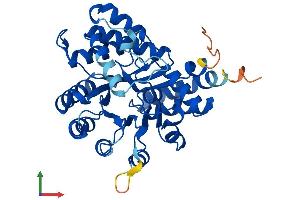 AlphaFold protein structure predicition of Mouse Recombinant Adal Protein, UniprotID Q80SY6