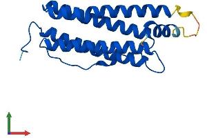 Protein Structure (PS) image for Ferritin, Light Polypeptide (FTL) (AA 1-183) protein (His tag) (ABIN7563074)