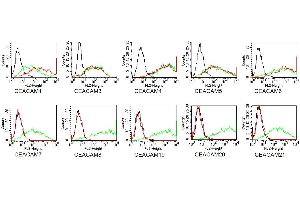 BOSC cells were transiently transfected with expression vectors containing either the cDNA of CEACAM1, CEACAM3- CEACAM8 or CEACAM19-21. (CD66acde antibody)