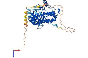Testis-Specific serine Kinase 2 (TSSK2) (AA 1-358) protein (His tag)