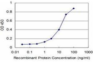 Detection limit for recombinant GST tagged NKX3-1 is approximately 1ng/ml as a capture antibody. (NKX3-1 antibody  (AA 100-209))