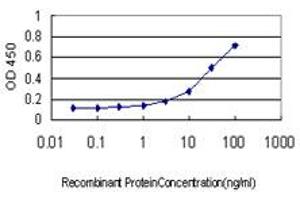 Detection limit for recombinant GST tagged GHRL is approximately 1ng/ml as a capture antibody. (Ghrelin antibody  (AA 1-117))