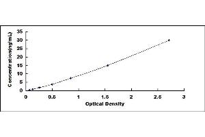 Typical standard curve (LRP1B ELISA Kit)