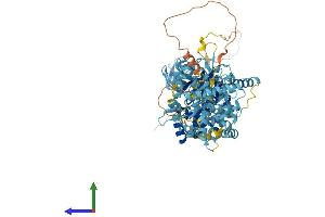 AlphaFold protein structure predicition of Human Recombinant MCM6 Protein, UniprotID Q14566 (MCM6 Protein (AA 1-821) (His tag))