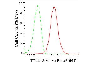 Flow cytometric analysis of TTLL12 expression in HepG2 cells using TTLL12 antibody (ABIN7800661), 1:2,000). (TTLL12 antibody)