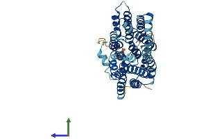 AlphaFold protein structure predicition of Human Recombinant SLC22A18 Protein, UniprotID Q96BI1 (ORCTL-2/SLC22A18 Protein (AA 1-424) (His tag))