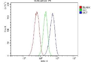 Flow Cytometry analysis of HepG2 cells using anti-MUT antibody (ABIN4886676). (MUT antibody  (N-Term))