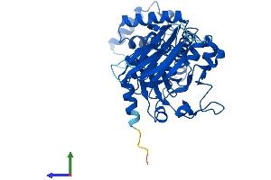 Protein Structure (PS) image for SEC14-Like 4 (SEC14L4) (AA 1-406) protein (His tag) (ABIN7551592)