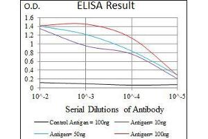 Black line: Control Antigen (100 ng), Purple line: Antigen(10 ng), Blue line: Antigen (50 ng), Red line: Antigen (100 ng), (UTF1 antibody  (AA 148-214))