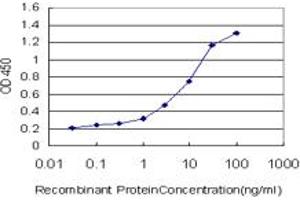 Detection limit for recombinant GST tagged C13orf24 is approximately 0. (PIBF1 antibody  (AA 660-755))