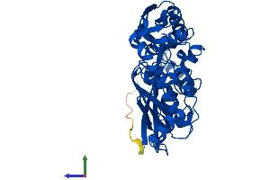 AlphaFold protein structure predicition of Human Recombinant MAT1A Protein, UniprotID Q00266