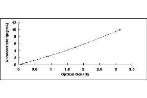 Typical standard curve (PUMA ELISA Kit)