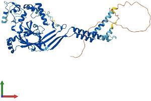 Protein Structure (PS) image for Amiloride-Sensitive Cation Channel 2, Neuronal (ACCN2) (AA 1-528) protein (His tag) (ABIN7552365)