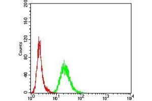 Flow cytometric analysis of Hela cells using ADIPOQ mouse mAb (green) and negative control (red). (ADIPOQ antibody  (AA 16-154))